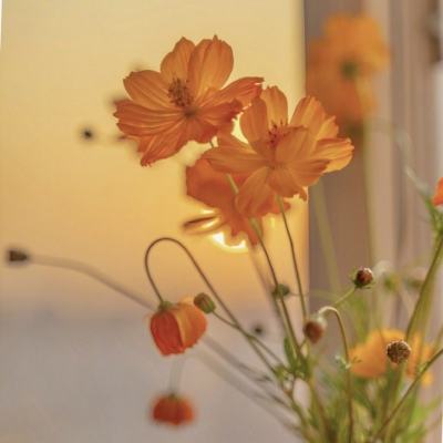 bob体育APP下载链接